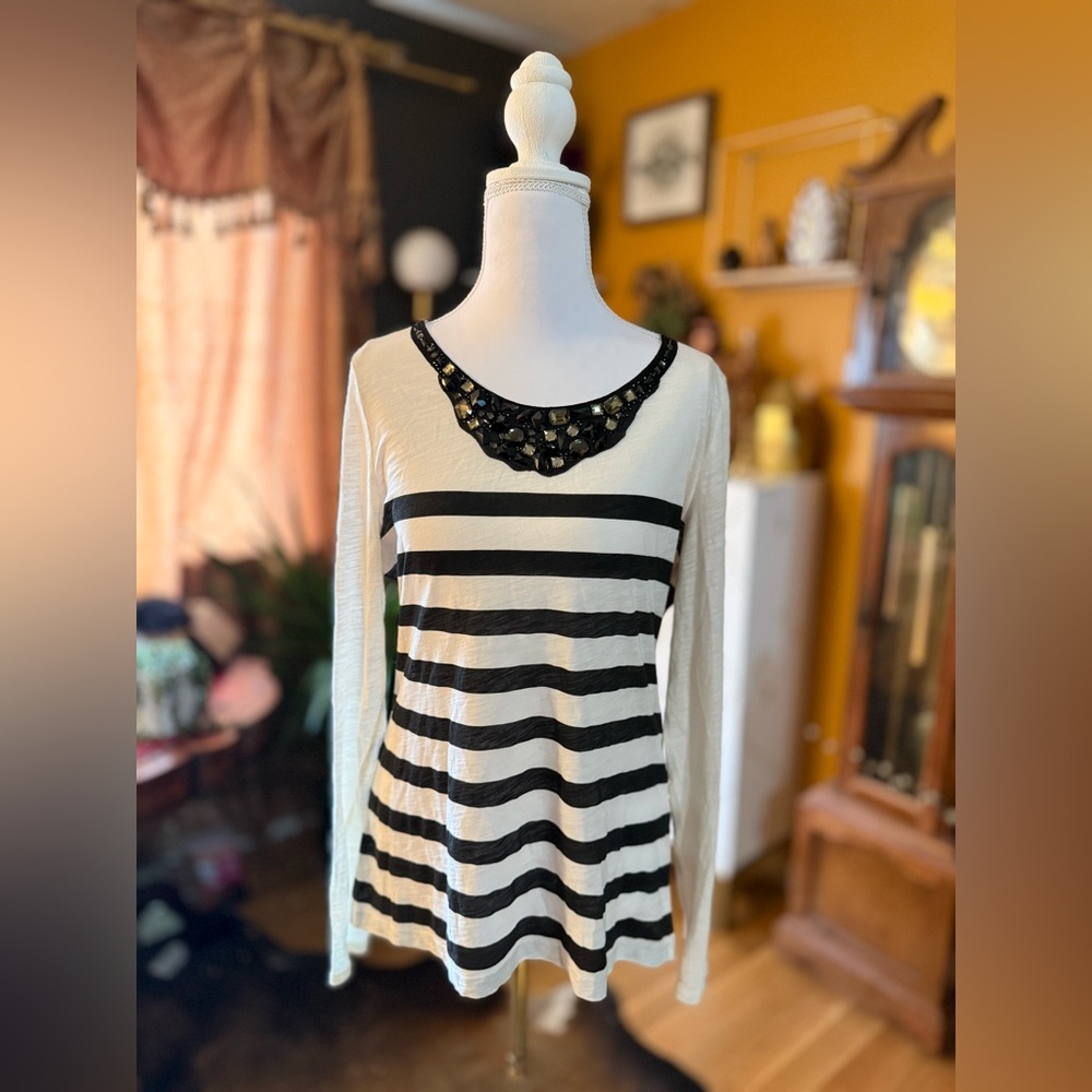 LOFT Ann Taylor M